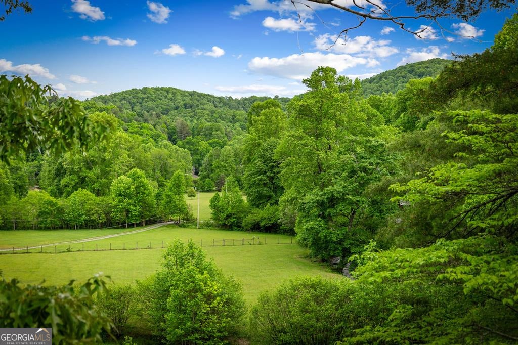 Cherry Log, Georgia, 30522, United States, 5 Bedrooms Bedrooms, ,5 BathroomsBathrooms,Residential,Active,2045694