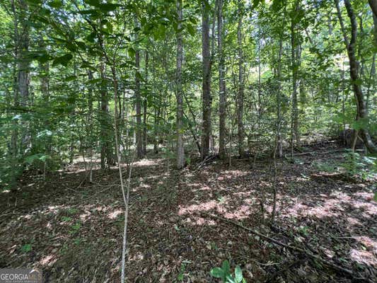 LOT 5 SAUTEE RIDGE ROAD, CLARKESVILLE, GA 30523 - Image 1