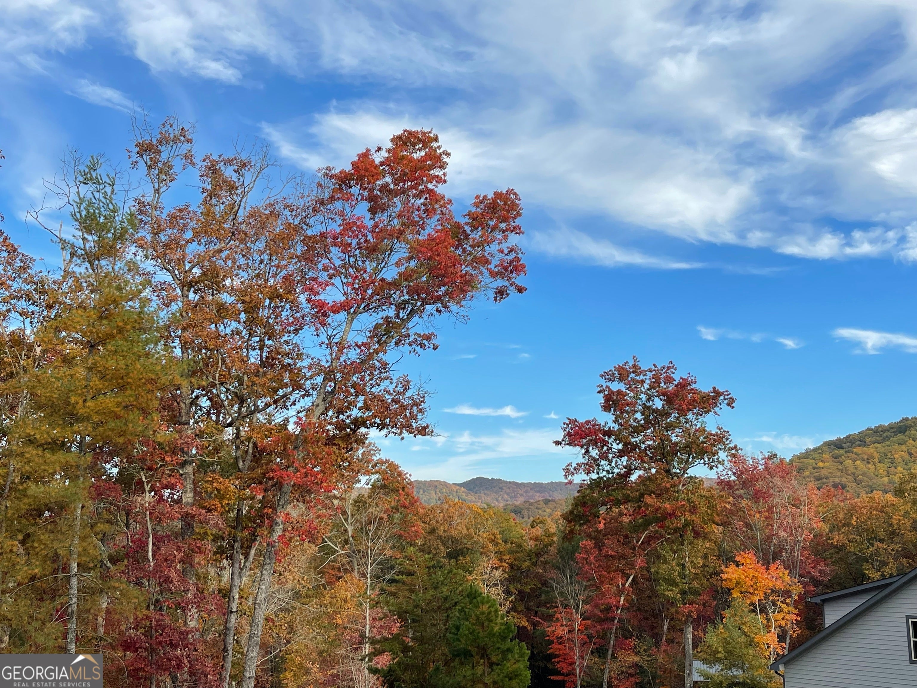Morganton, Georgia, 30560, United States, 4 Bedrooms Bedrooms, ,4 BathroomsBathrooms,Residential,Active,1853343