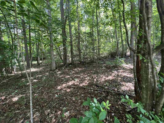 LOT 3 SAUTEE RIDGE ROAD, CLARKESVILLE, GA 30523 - Image 1