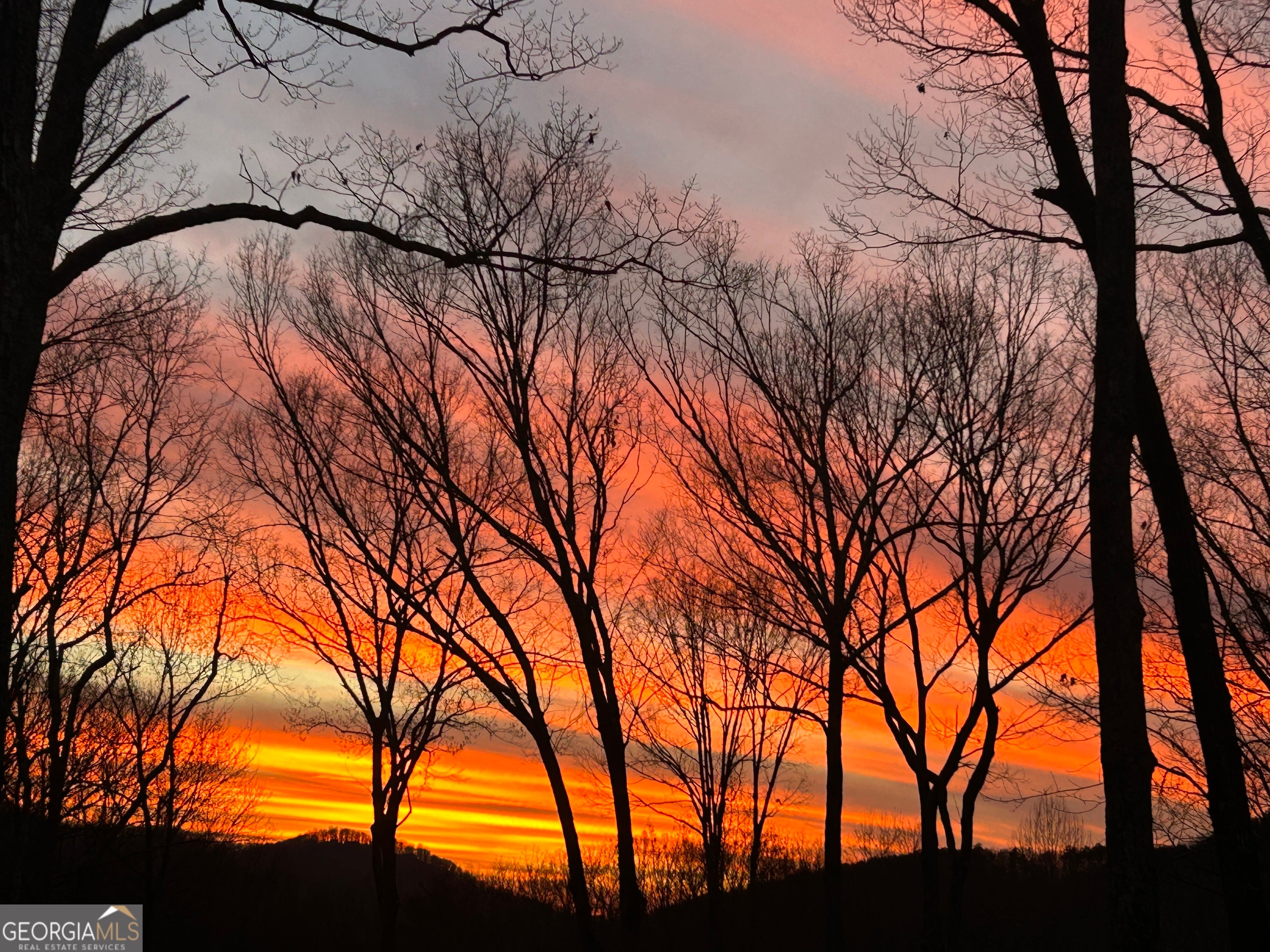 Ellijay, Georgia, 30536, United States, 5 Bedrooms Bedrooms, ,6 BathroomsBathrooms,Residential,Active,1953697