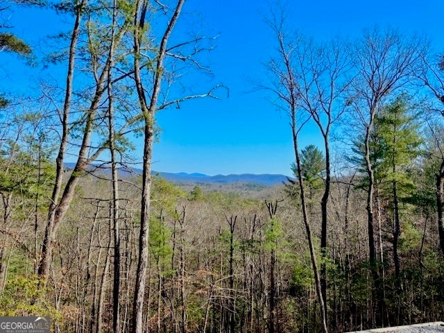 Blue Ridge, Georgia, 30513, United States, 4 Bedrooms Bedrooms, ,4 BathroomsBathrooms,Residential,Active,1941112