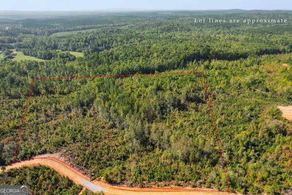 0 HIGHWAY 78 # LOT 9, MUSCADINE, AL 36262 - Image 1