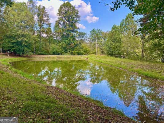 TRACT 1 WILLOW RIDGE, WARNE, NC 28909 - Image 1