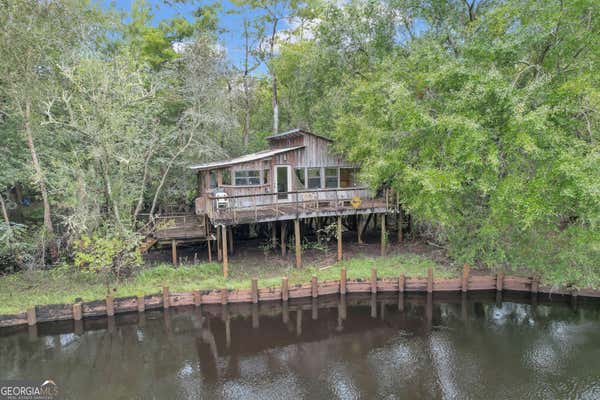 TRACT 1 LEWIS LANDING, NAHUNTA, GA 31553 - Image 1