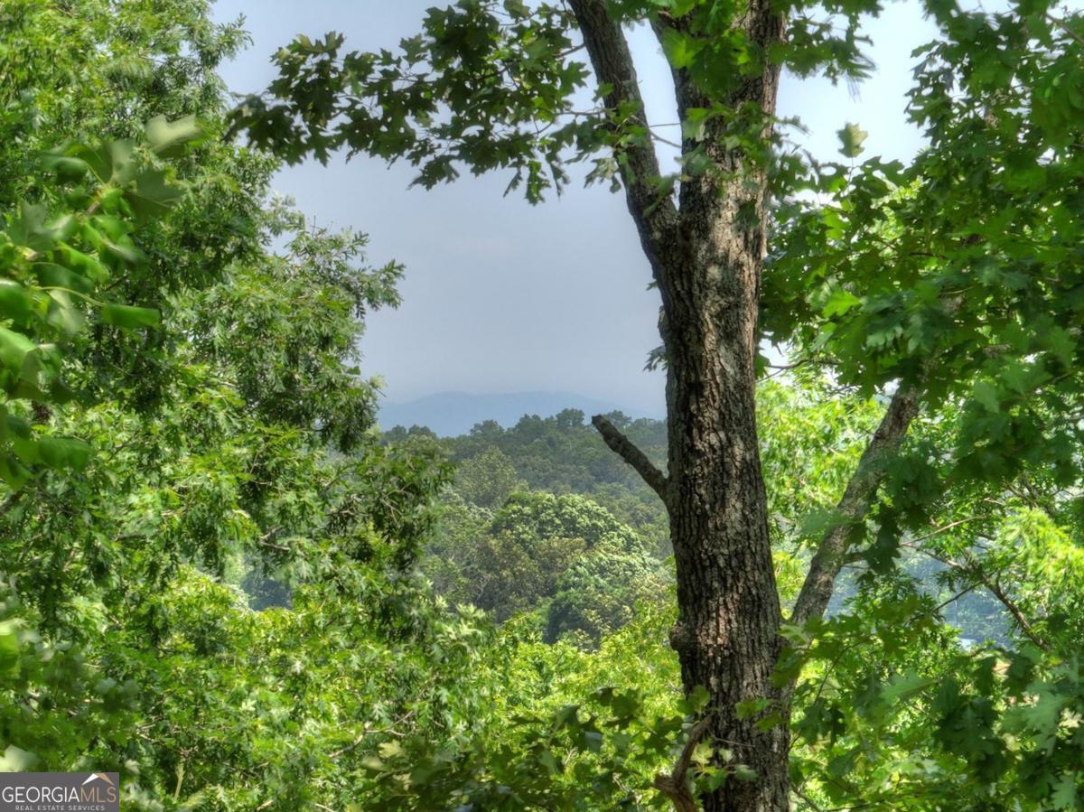 Morganton, Georgia, 30560, United States, 4 Bedrooms Bedrooms, ,4 BathroomsBathrooms,Residential,Active,1853343