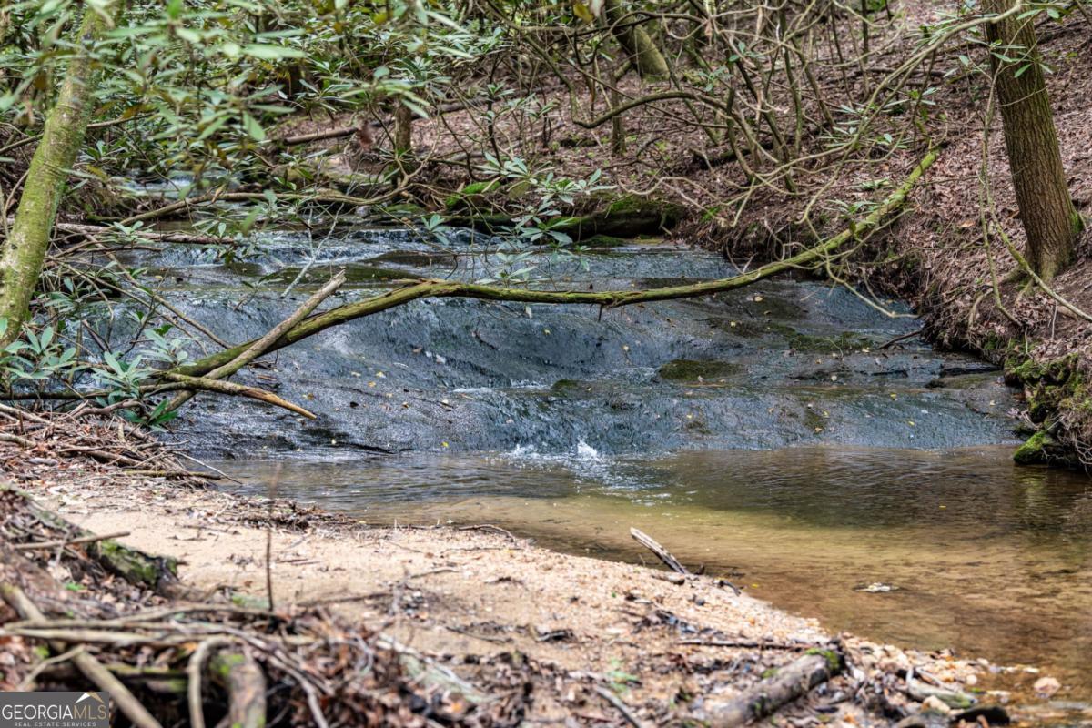 Ellijay, Georgia, 30536, United States, ,4 BathroomsBathrooms,Residential,Active,1806919