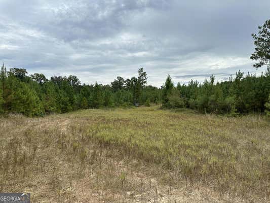 PARCEL #5 TUCK PERSONS HIGHWAY # 167.2 ACRES, TALBOTTON, GA 31827, photo 3 of 21