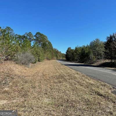 40+/- ACRES PINEVILLE ROAD, BUENA VISTA, GA 31803 - Image 1