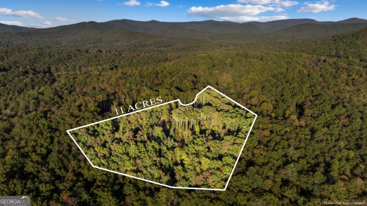 Ellijay, Georgia, 30536, United States, 3 Bedrooms Bedrooms, ,4 BathroomsBathrooms,Residential,Active,1968415