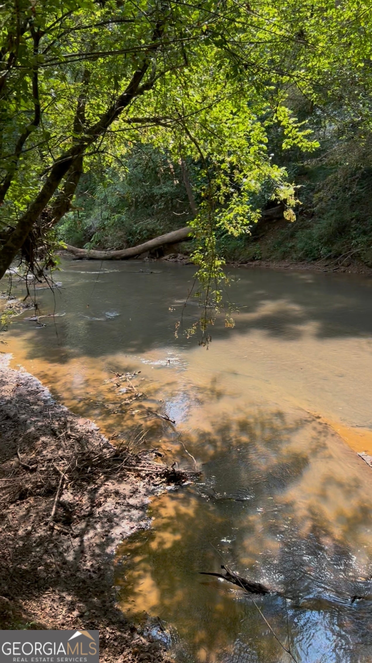 Commerce, Georgia, 30529, United States, 4 Bedrooms Bedrooms, ,3 BathroomsBathrooms,Residential,Active,1963280