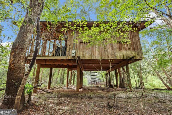 TRACT 2 LEWIS LANDING, NAHUNTA, GA 31553 - Image 1