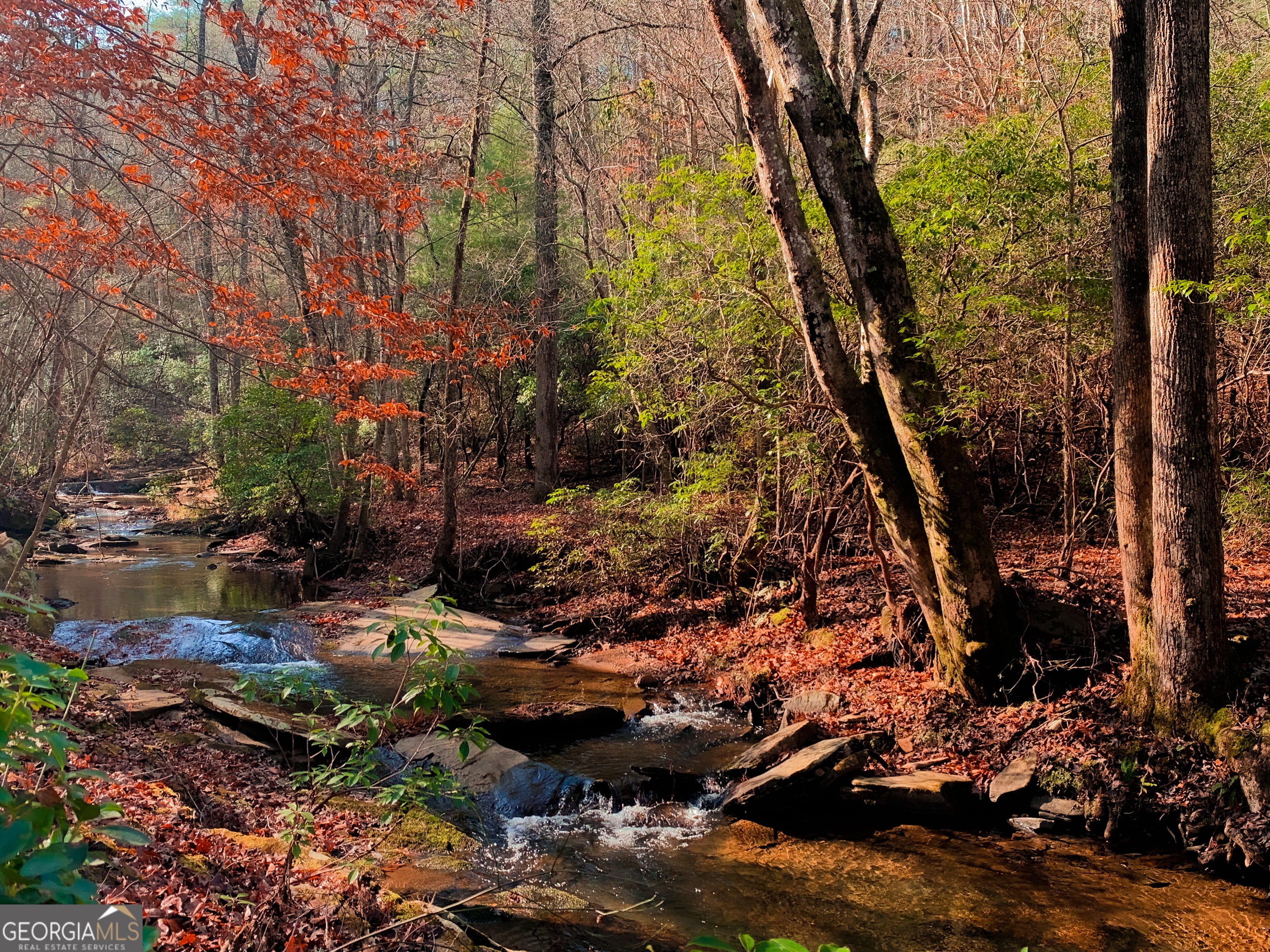 Talking Rock, Georgia, 30175, United States, 4 Bedrooms Bedrooms, ,3 BathroomsBathrooms,Residential,Active,2000209