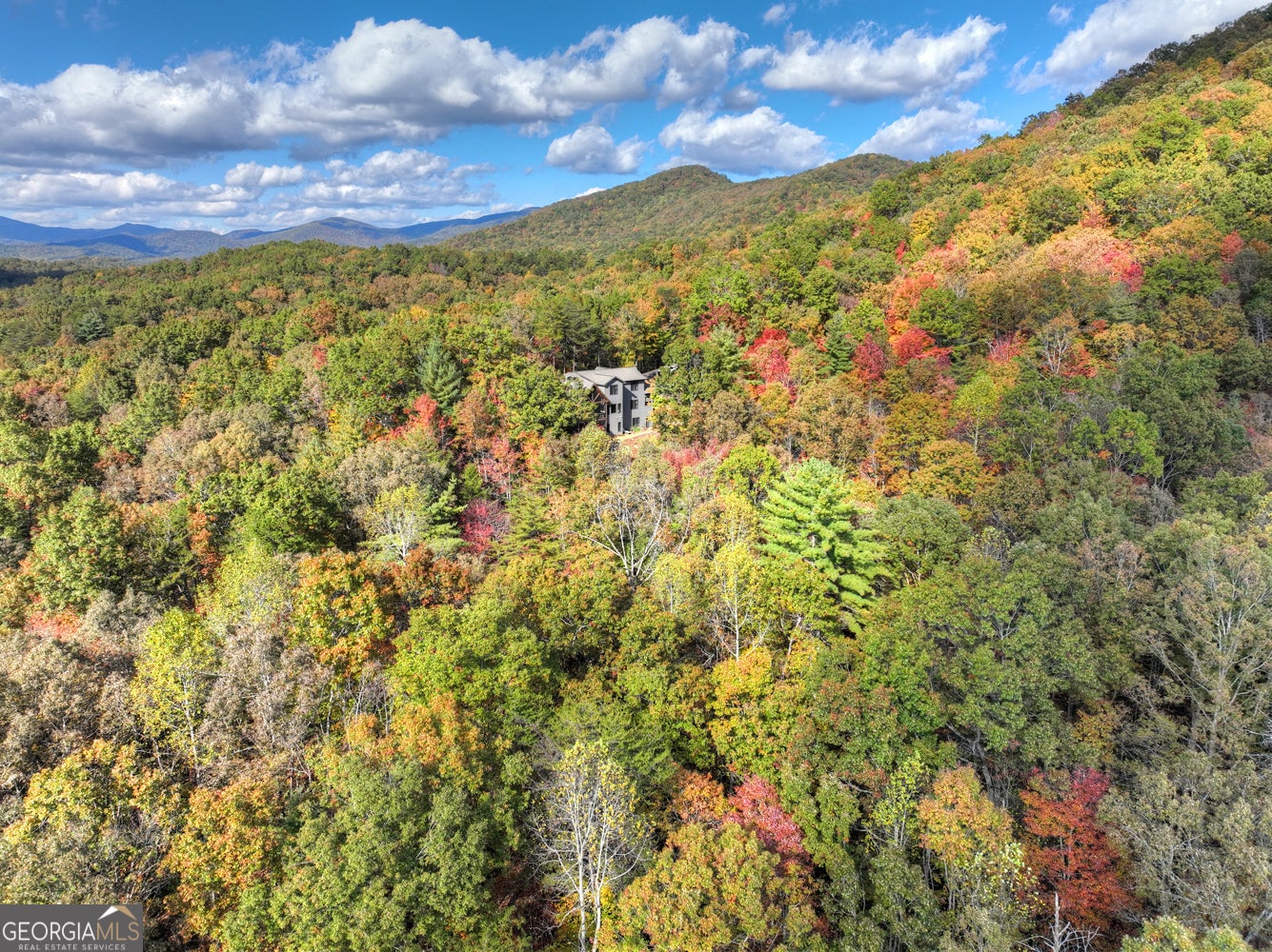 Ellijay, Georgia, 30540, United States, 5 Bedrooms Bedrooms, ,4 BathroomsBathrooms,Residential,Active,1954017