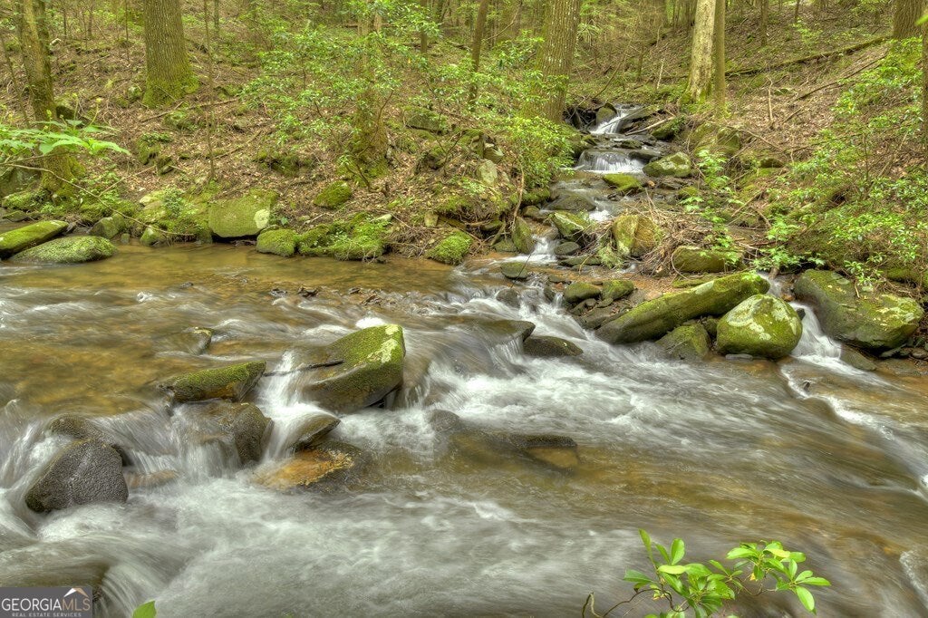 Ellijay, Georgia, 30536, United States, 5 Bedrooms Bedrooms, ,6 BathroomsBathrooms,Residential,Active,1953697