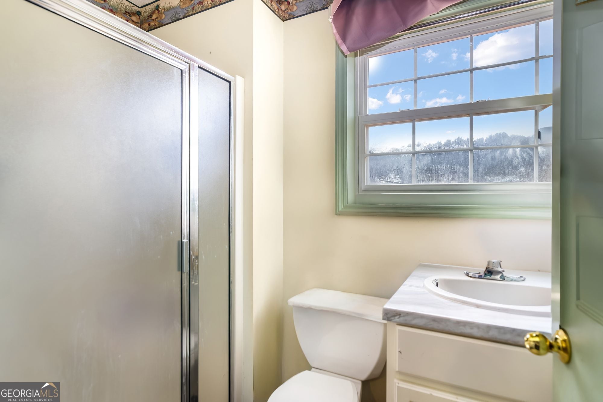 Blairsville, Georgia, 30512, United States, ,4 BathroomsBathrooms,Residential,Active,1704083