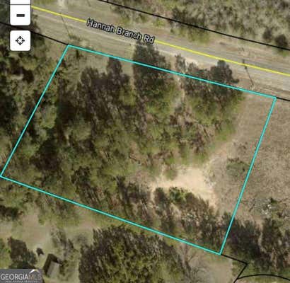 TBD HANNAH BRANCH ROAD, CORDELE, GA 31015 - Image 1