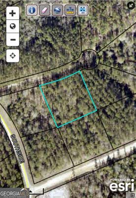 0 SOUTHSIDE DRIVE # 1.02 AC-SOUTHSIDE DR-PARC, LYONS, GA 30436 - Image 1