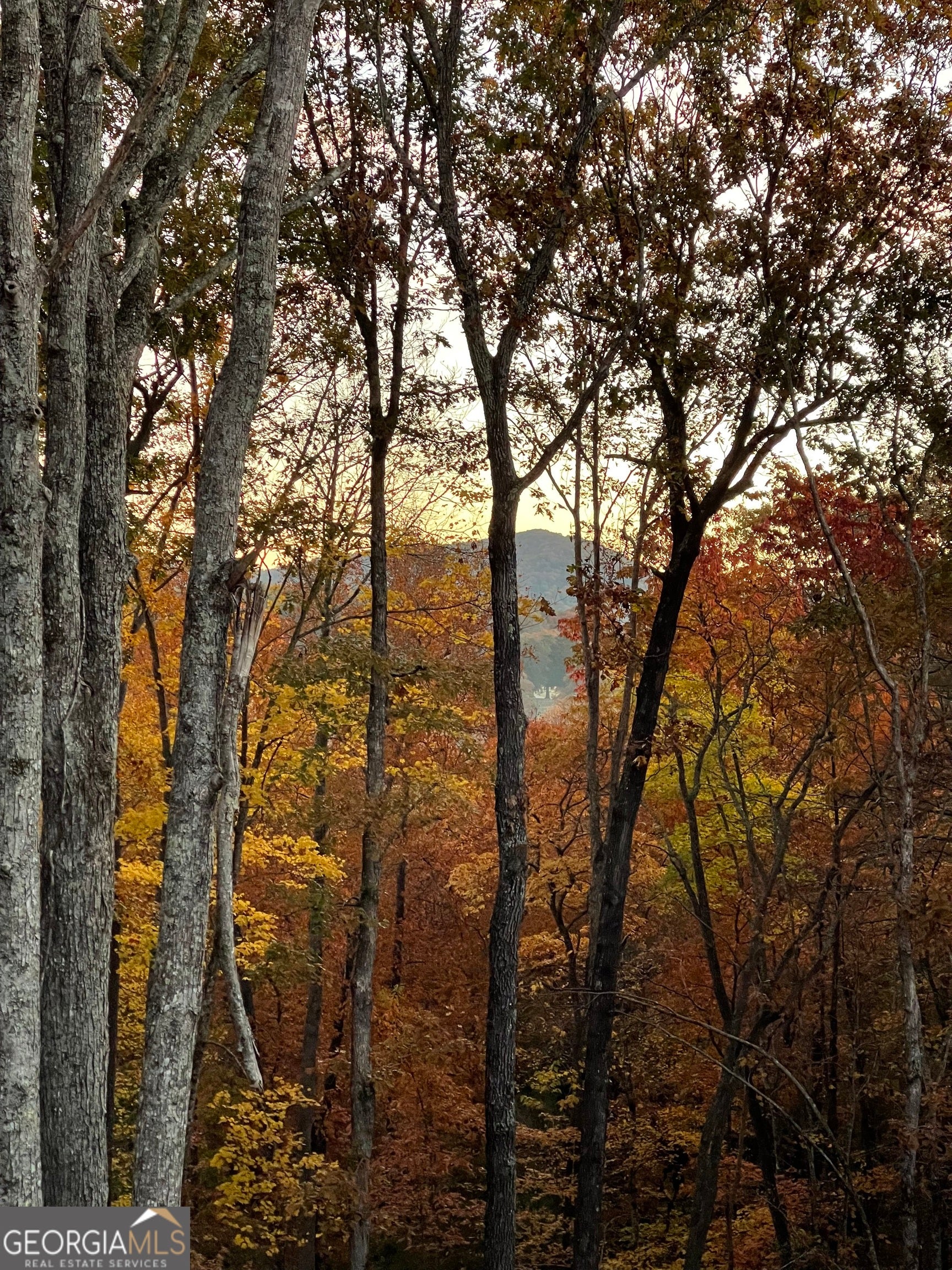 Morganton, Georgia, 30560, United States, 4 Bedrooms Bedrooms, ,4 BathroomsBathrooms,Residential,Active,1853343