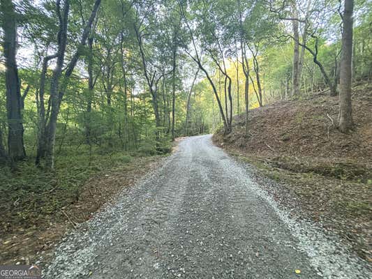 6 AC HILLS CREEK RD, MINERAL BLUFF, GA 30559, photo 2 of 132