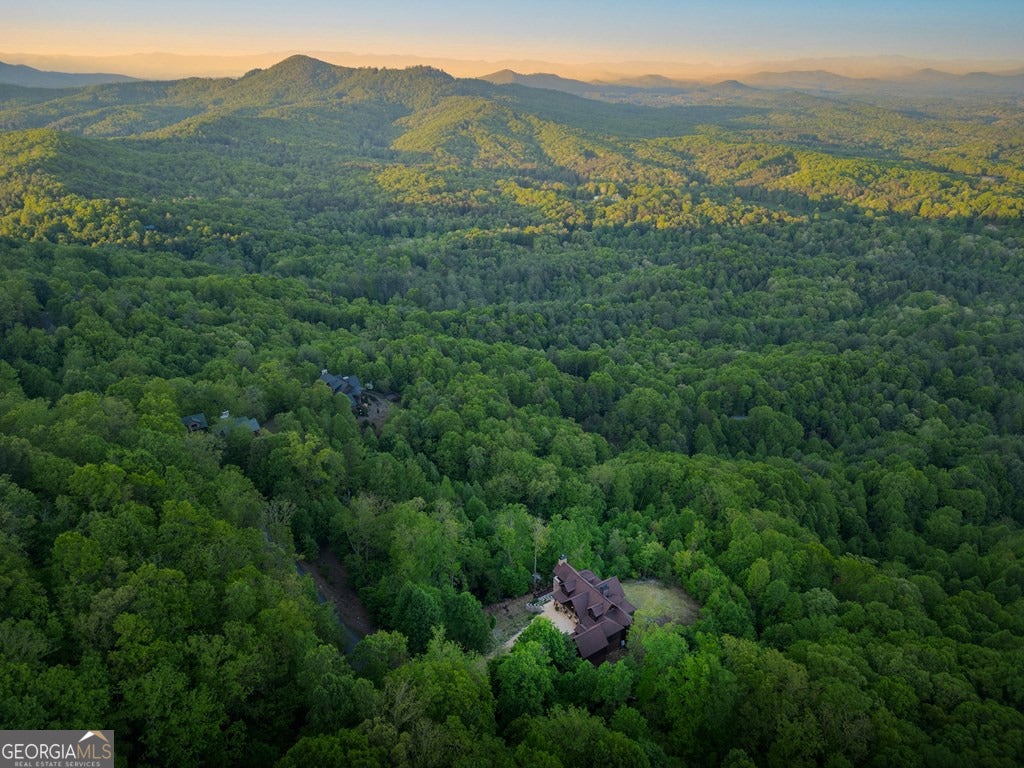 Mineral Bluff, Georgia, 30559, United States, 4 Bedrooms Bedrooms, ,5 BathroomsBathrooms,Residential,Active,2044577