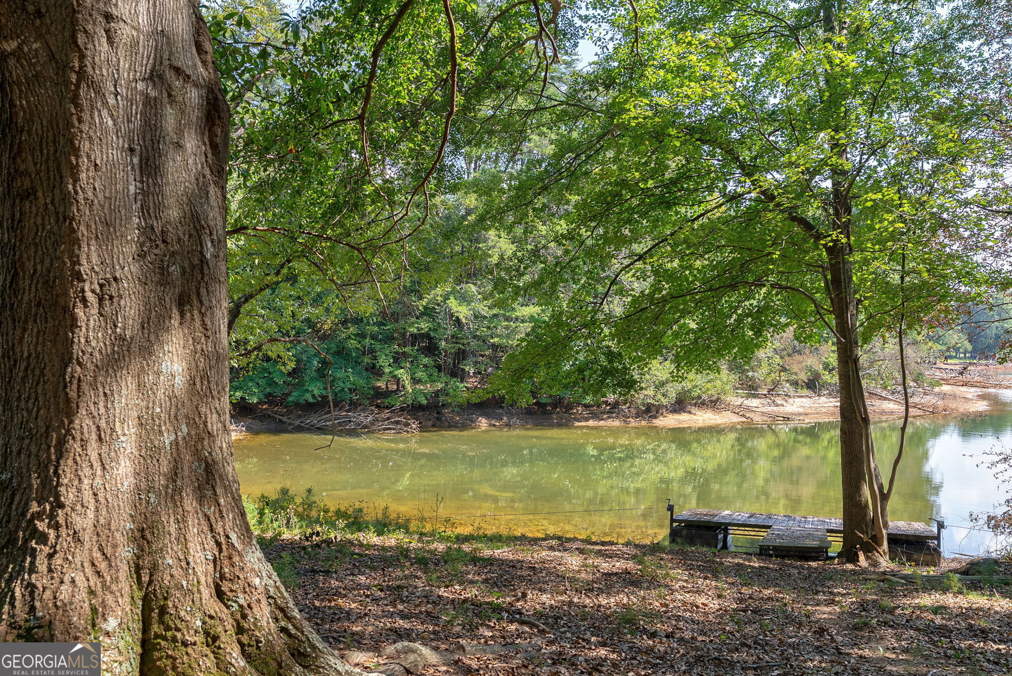 Cumming, Georgia, 30041, United States, 4 Bedrooms Bedrooms, ,4 BathroomsBathrooms,Residential,Active,1945468