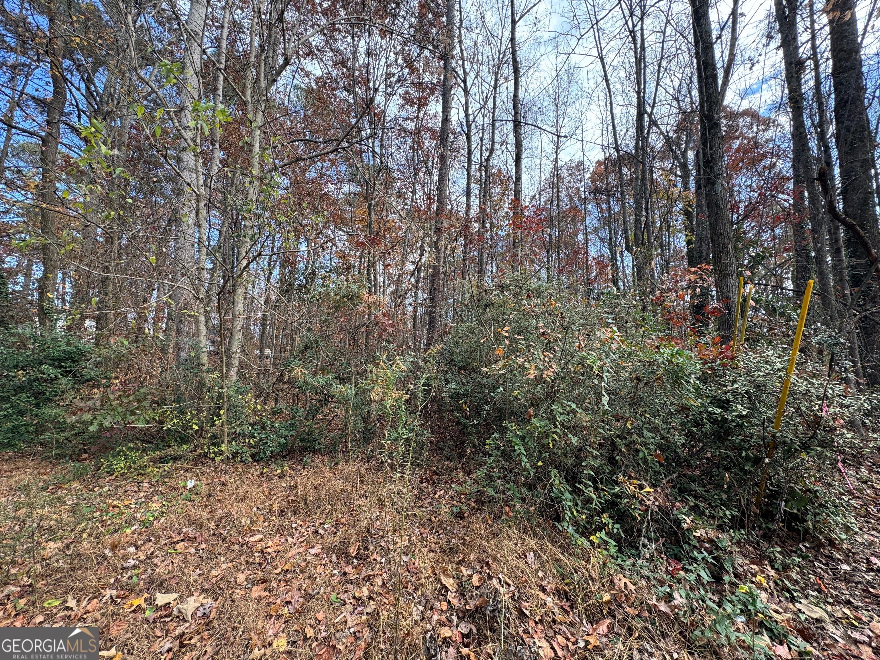 Acworth, Georgia, 30102, United States, 5 Bedrooms Bedrooms, ,3 BathroomsBathrooms,Residential,Active,1999905