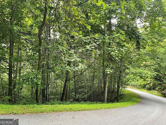 LOT 32 J MOUNTAIN HARBOUR, HAYESVILLE, NC 28904 - Image 1