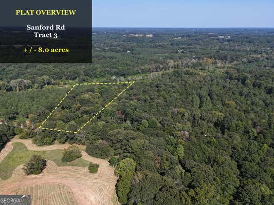 0 SANFORD ROAD # TRACT 3, NICHOLSON, GA 30565 - Image 1