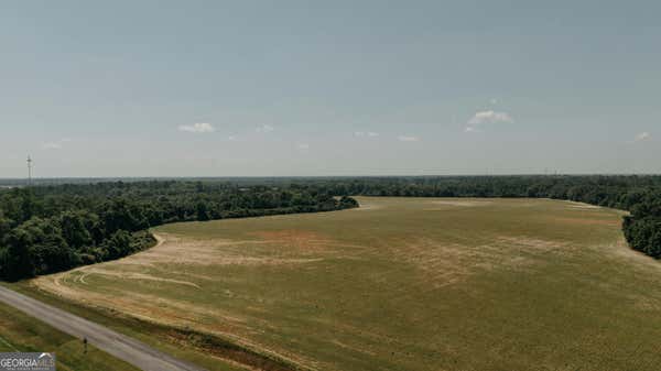 000 N U S HIGHWAY 19/PALMER ROAD, MEIGS, GA 31765 - Image 1