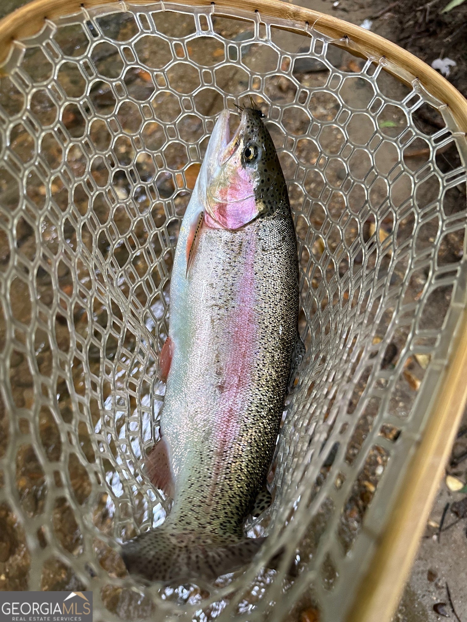 Ellijay, Georgia, 30536, United States, 3 Bedrooms Bedrooms, ,4 BathroomsBathrooms,Residential,Active,1968415