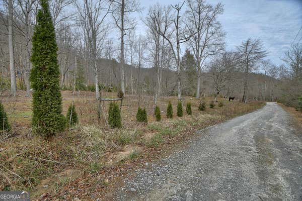 164 ASA COVE LN, RABUN GAP, GA 30568, photo 3 of 61