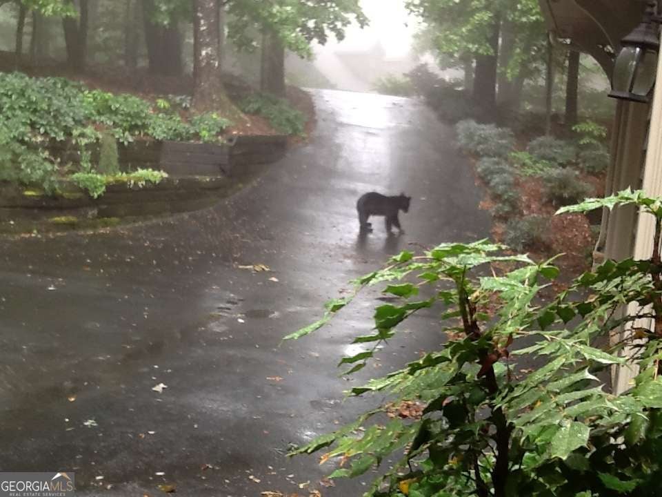 Big Canoe, Georgia, 30143, United States, 4 Bedrooms Bedrooms, ,5 BathroomsBathrooms,Residential,Active,2010164