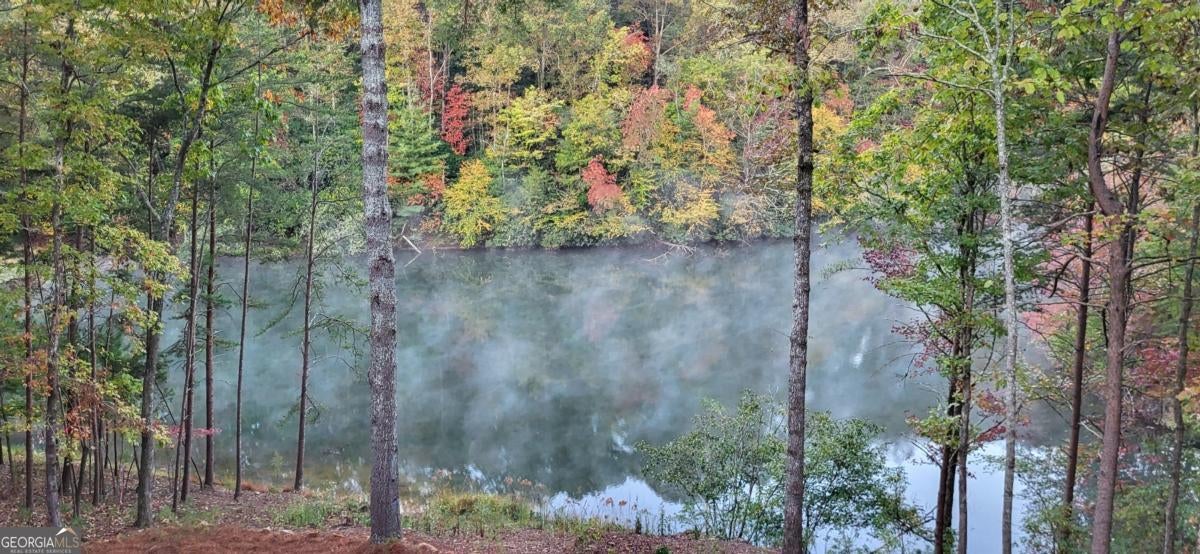 Ellijay, Georgia, 30540, United States, 4 Bedrooms Bedrooms, ,3 BathroomsBathrooms,Residential,Active,1971791