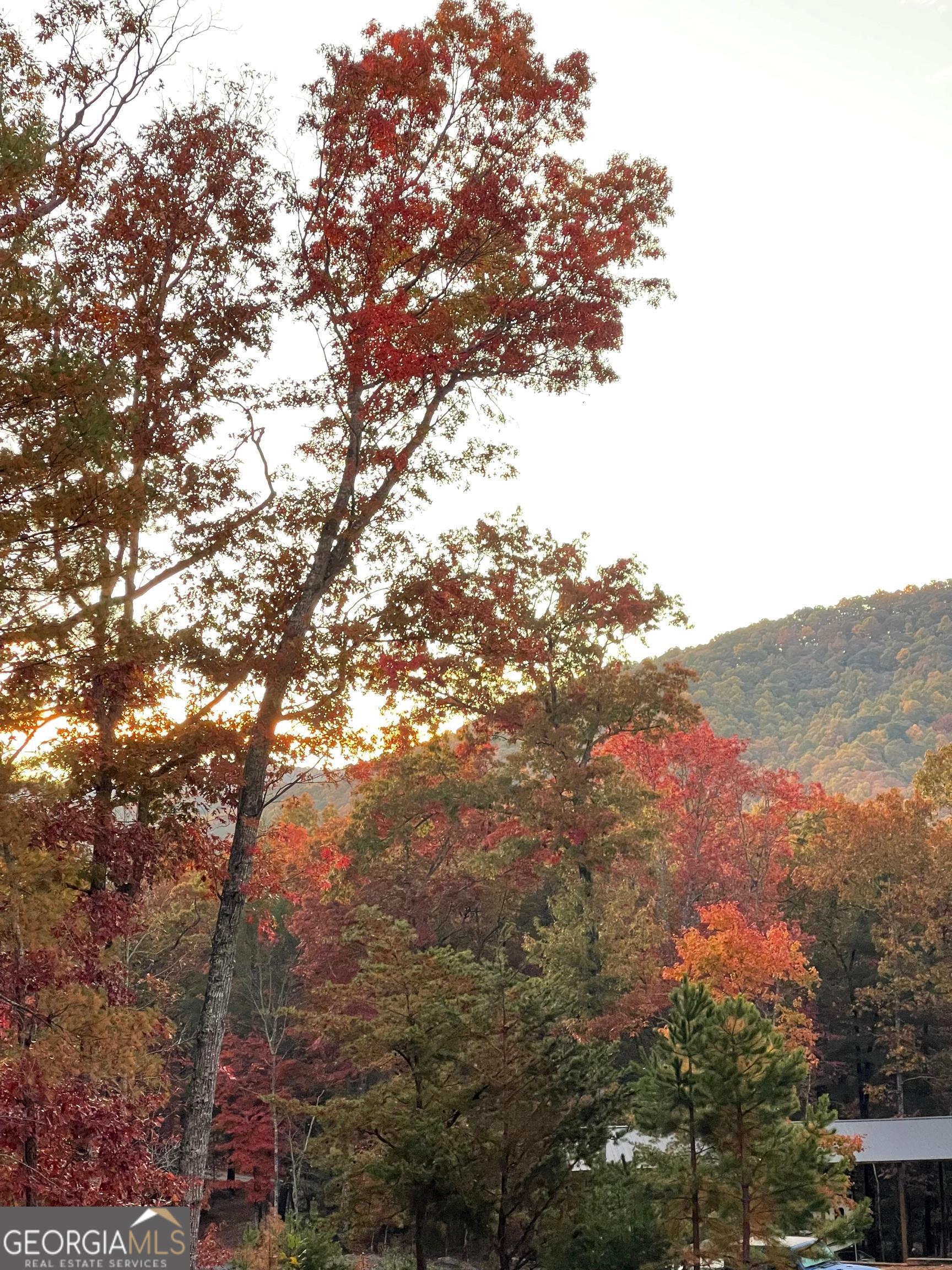 Morganton, Georgia, 30560, United States, 4 Bedrooms Bedrooms, ,4 BathroomsBathrooms,Residential,Active,1853343