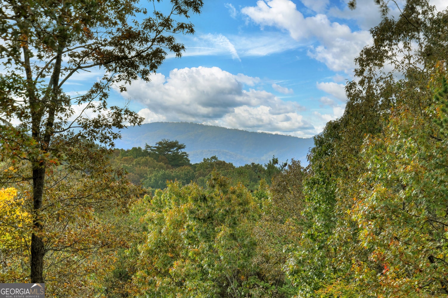 Ellijay, Georgia, 30540, United States, 5 Bedrooms Bedrooms, ,4 BathroomsBathrooms,Residential,Active,1954017