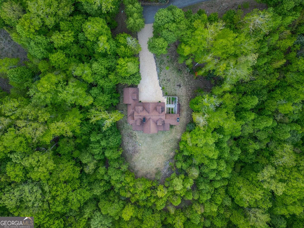 Mineral Bluff, Georgia, 30559, United States, 4 Bedrooms Bedrooms, ,5 BathroomsBathrooms,Residential,Active,2044577