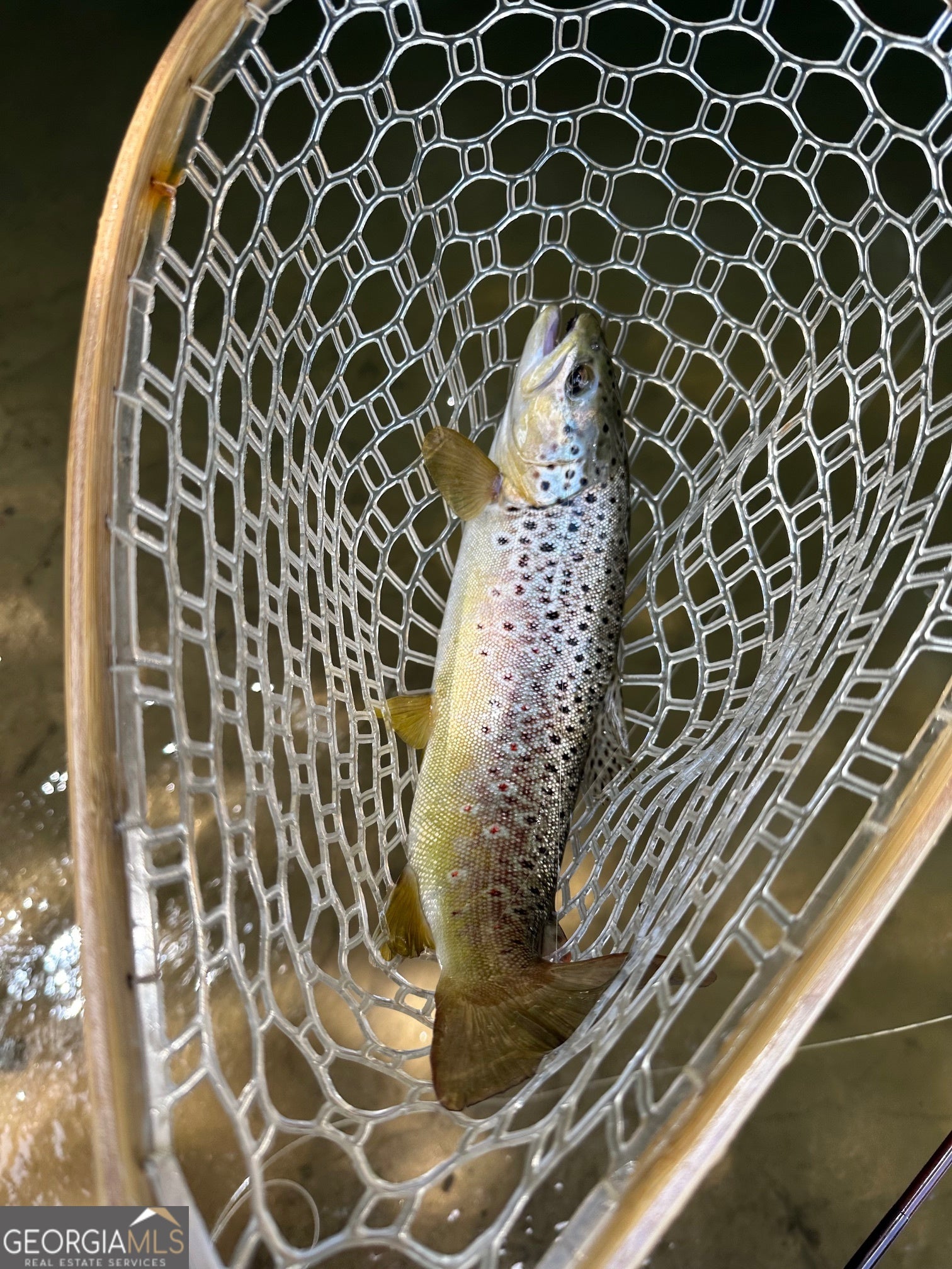 Ellijay, Georgia, 30536, United States, 3 Bedrooms Bedrooms, ,4 BathroomsBathrooms,Residential,Active,1968415