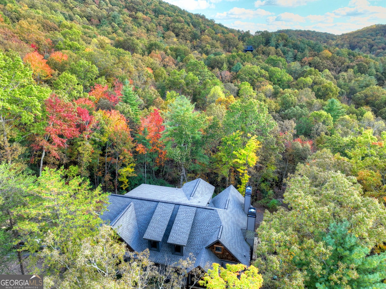 Ellijay, Georgia, 30540, United States, 5 Bedrooms Bedrooms, ,4 BathroomsBathrooms,Residential,Active,1954017