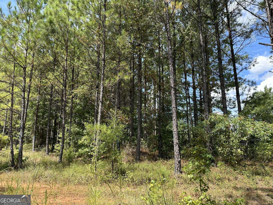 PARCEL #5 TUCK PERSONS HIGHWAY # 167.2 ACRES, TALBOTTON, GA 31827, photo 1 of 21