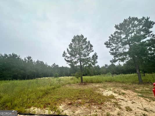 1102 GA HIGHWAY 199 S, EAST DUBLIN, GA 31027 - Image 1