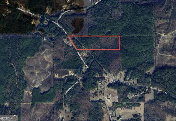 0 COUNTY RD 46 # 1, GAYLESVILLE, AL 35973 - Image 1