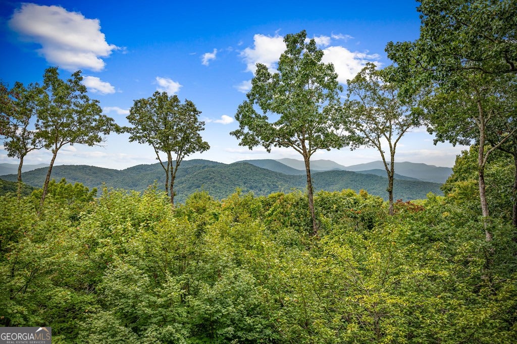 Morganton, Georgia, 30560, United States, 4 Bedrooms Bedrooms, ,5 BathroomsBathrooms,Residential,Active,1953363