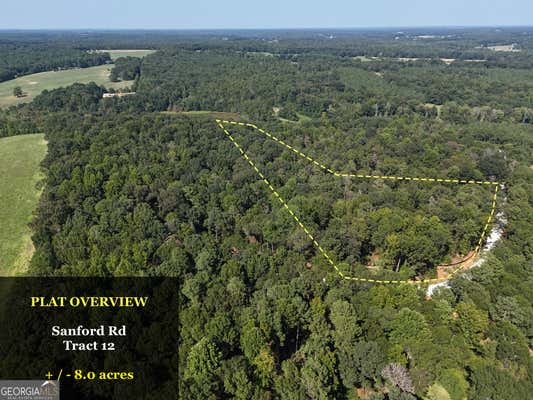 0 SANFORD ROAD # TRACT 12, NICHOLSON, GA 30565 - Image 1