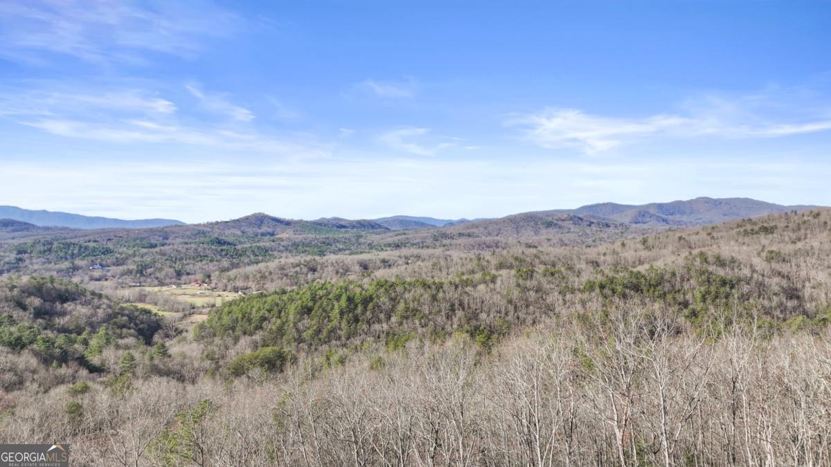Mineral Bluff, Georgia, 30559, United States, 4 Bedrooms Bedrooms, ,4 BathroomsBathrooms,Residential,Active,1929427