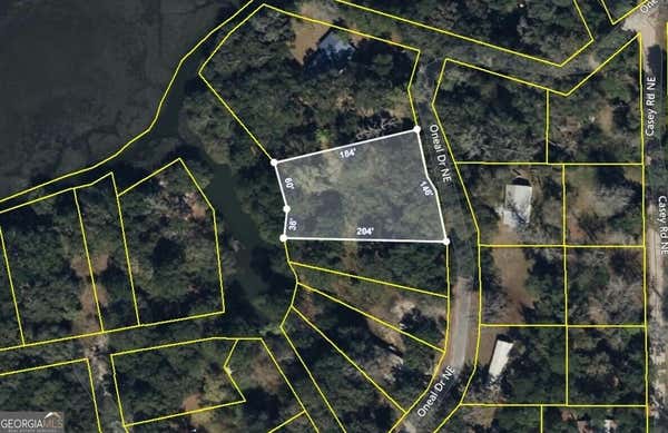 0 ONEAL DRIVE, TOWNSEND, GA 31331 - Image 1