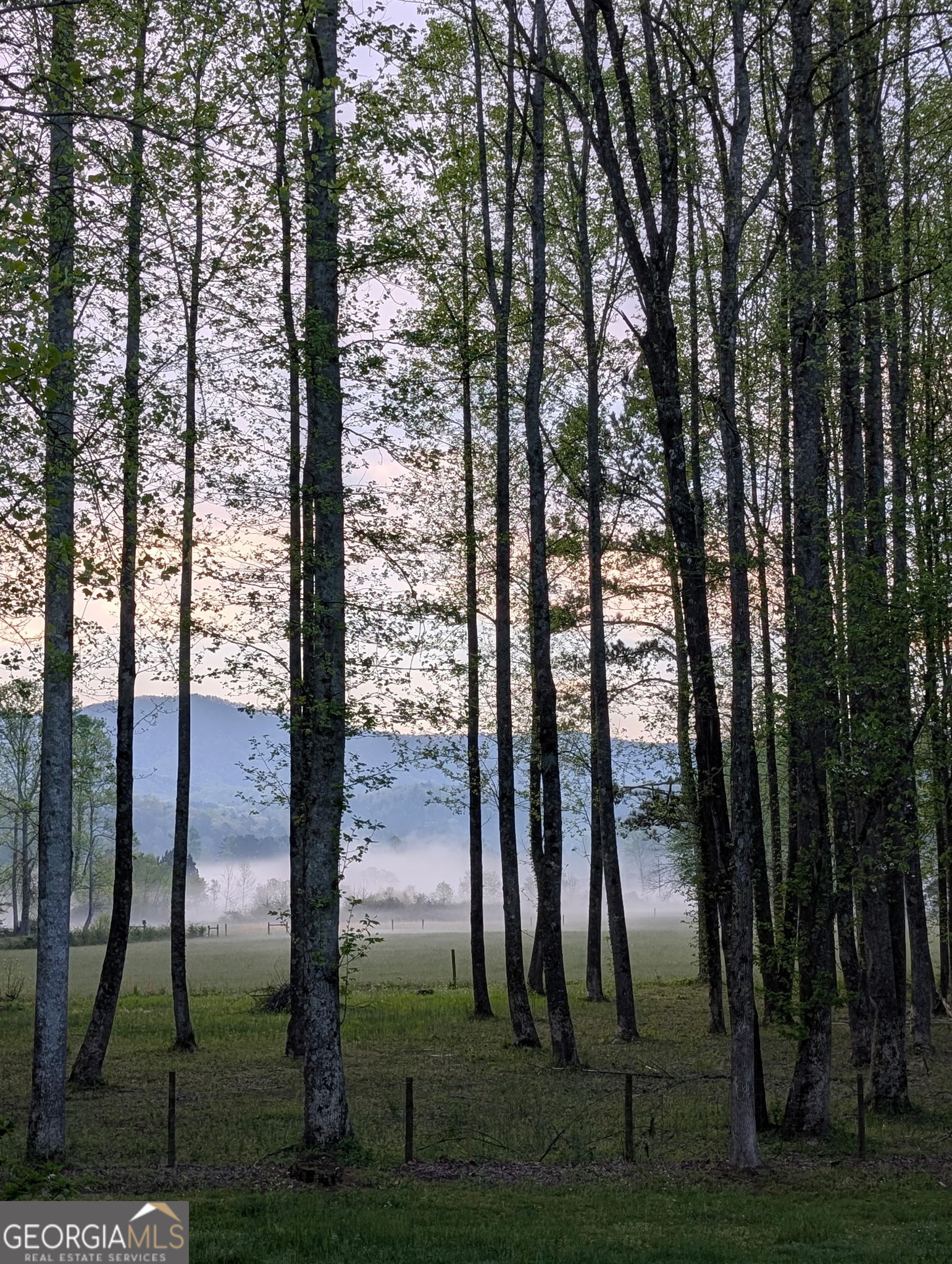 Ellijay, Georgia, 30540, United States, 4 Bedrooms Bedrooms, ,3 BathroomsBathrooms,Residential,Active,1968093