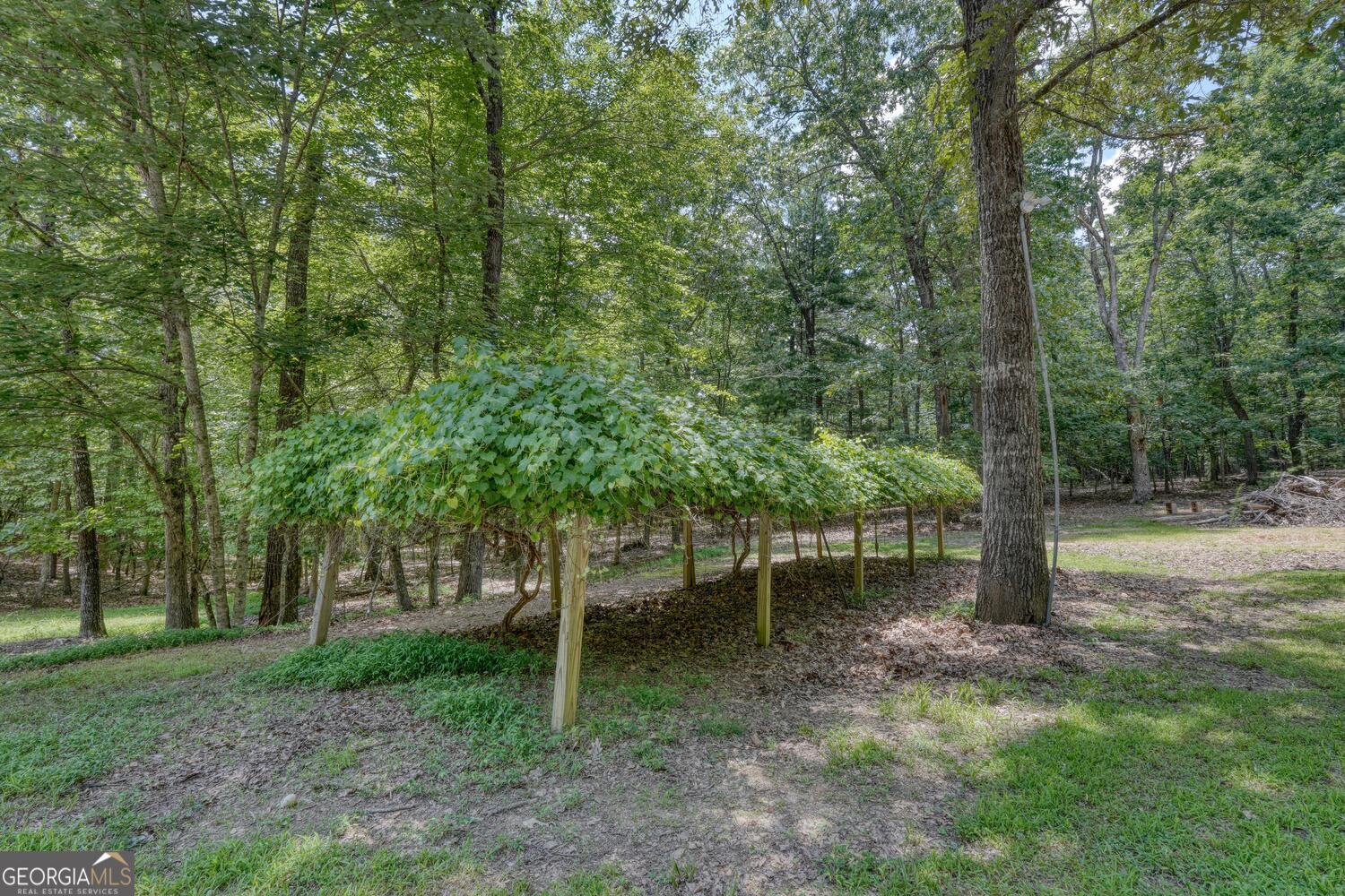 Blairsville, Georgia, 30512, United States, 4 Bedrooms Bedrooms, ,5 BathroomsBathrooms,Residential,Active,1898219