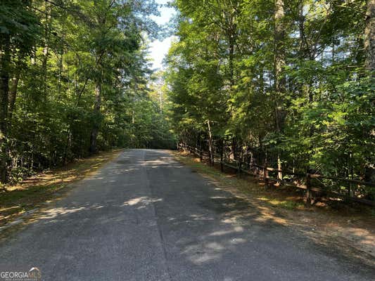 0 LAUREL CREEK TRAIL, CHERRY LOG, GA 30522 - Image 1