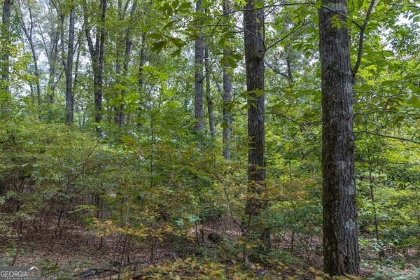 45+/- ACRES PINEVILLE ROAD, BUENA VISTA, GA 31803 - Image 1